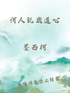 何人乱我道心