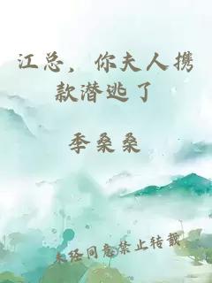 江总，你夫人携款潜逃了