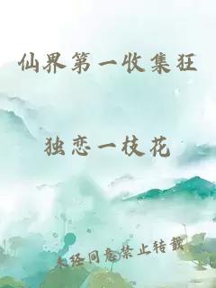 仙界第一收集狂